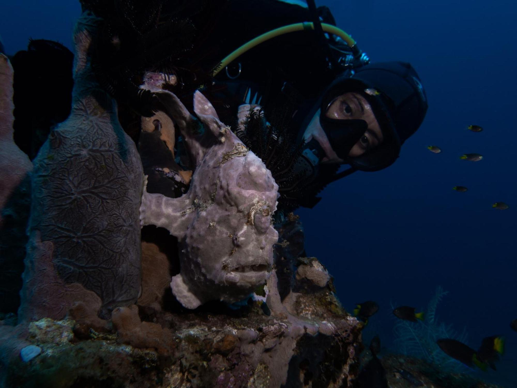 Vitaminsea Room Dauin Exterior foto