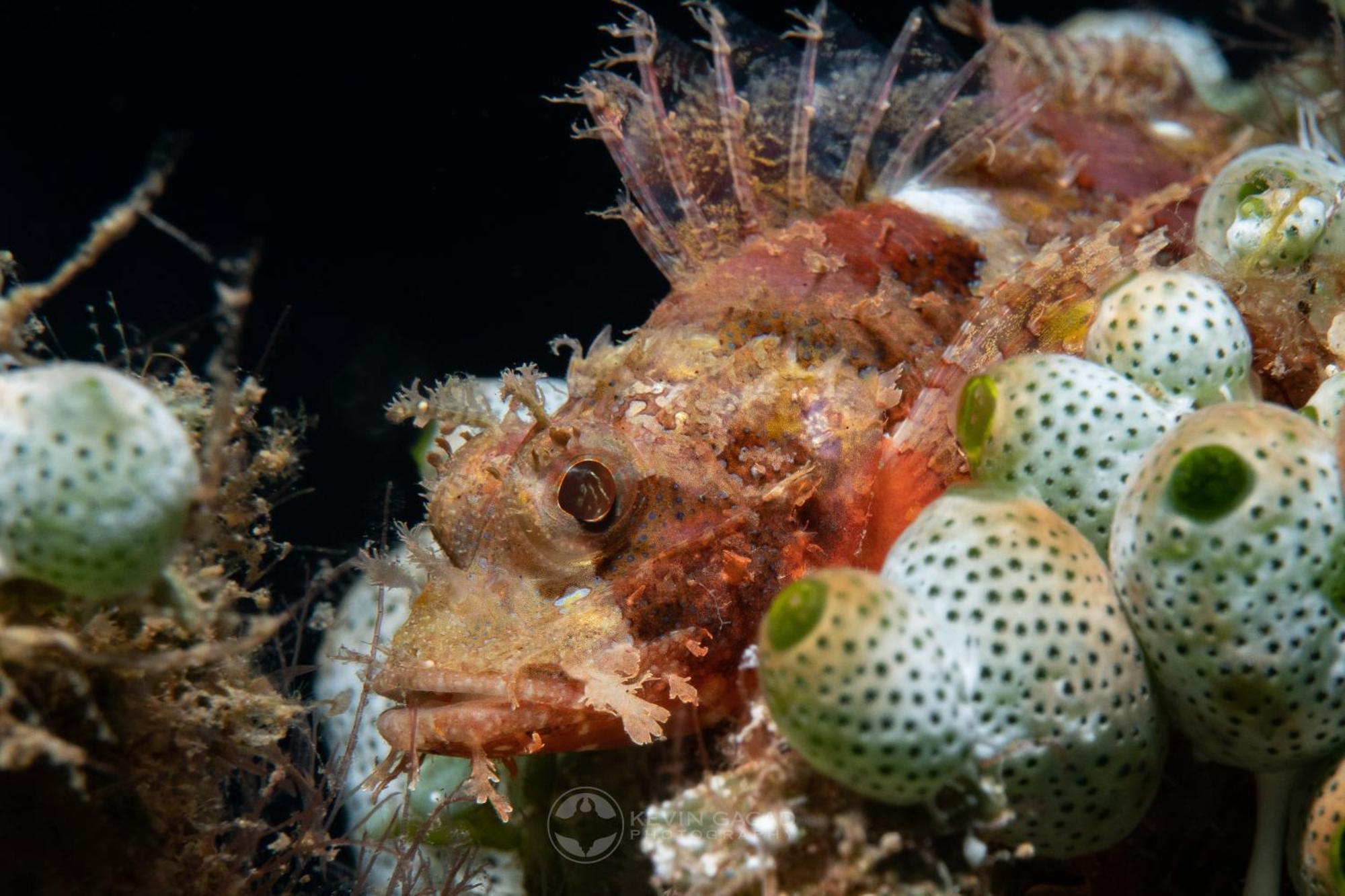 Vitaminsea Room Dauin Exterior foto